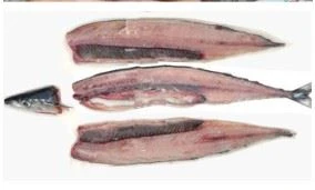 fillet 02.JPG